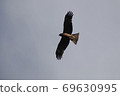 Tobi flying in the sky 69630995
