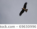 Tobi flying in the sky 69630996
