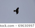 Tobi flying in the sky 69630997