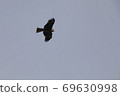 Tobi flying in the sky 69630998