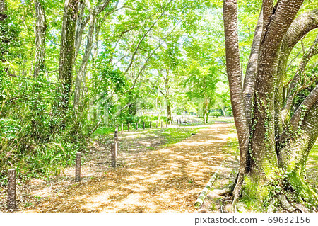 Fresh green hiking course [colored pencils] 69632156