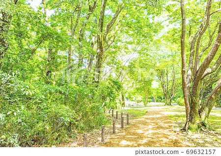 Fresh green hiking course [colored pencils] 69632157