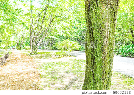 Fresh green hiking course [colored pencils] 69632158