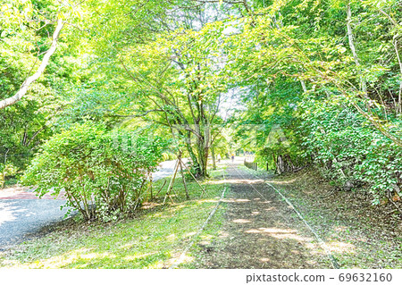 Fresh green hiking course [colored pencils] 69632160