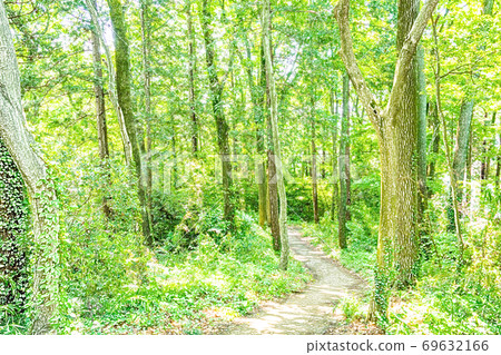 Fresh green hiking course [colored pencils] 69632166