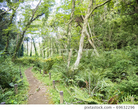 Japan's precious nature Koajiro no Mori on the Shonan Miura Peninsula (Autumn) 69632296