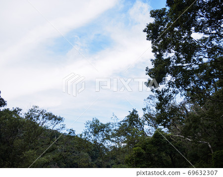 湘南三浦半島上的日本珍貴自然小泉之森（秋天） 69632307