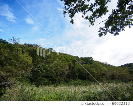 Japan's precious nature Koajiro no Mori on the Shonan Miura Peninsula (Autumn) 69632313