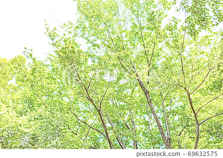 Fresh green [colored pencils] 69632575