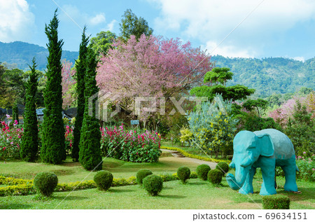 Scenery of Public Park on Mountain at Chiangmai Province of Thailand. Scenery of Public Park on Mountain at Chiangmai Province of Thailand. 69634151
