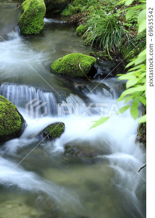 茨城縣北茨城縣茨城市花之野谷 茨城縣北茨城縣茨城市花之野谷 69635542