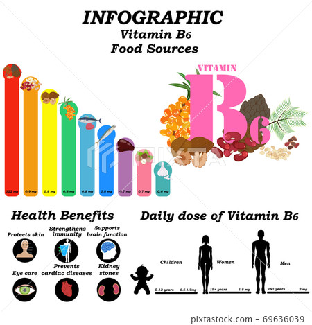 Vitamin B6 Infographic Health Benefit Vector... - Stock Illustration ...