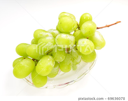 Shine Muscat grapes grapes Shine Muscat grapes grapes 69636078