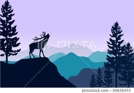 deer, forest, mountain 69636455