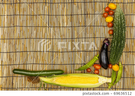 Group photo of summer vegetables 69636512