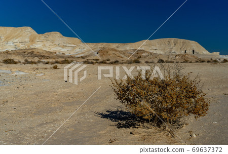 Stone desert in Israel travel attraction Stone desert in Israel travel attraction 69637372