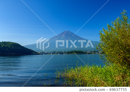 Summer of Mt. Fuji, from Lake Kawaguchi to summer Fuji (Yamanashi Prefecture) 69637735