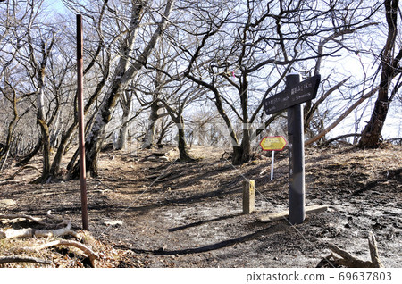 Tanzawa Mountains Komaru Ridge Branch in Winter 69637803