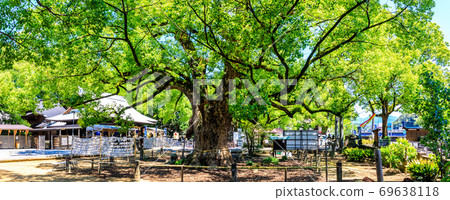 Fresh green Isahaya Shrine Kusu group panorama [Isahaya City, Nagasaki Prefecture] 69638118
