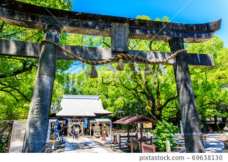新鮮的綠色Is早神社楠組[長崎縣s早市] 69638130