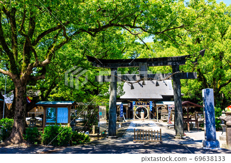 新鮮的綠色Is早神社楠組[長崎縣s早市] 69638133