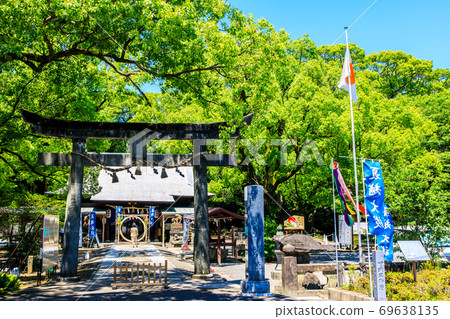 新鮮的綠色Is早神社楠組[長崎縣s早市] 69638135