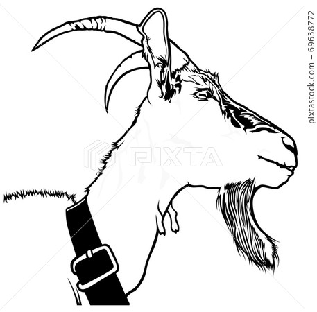 Goat Head 69638772