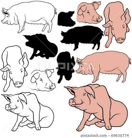 Pig Collection Pig Collection 69638774