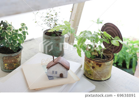 DIY wooden shelves and indoor green image photo DIY wooden shelves and indoor green image photo 69638891
