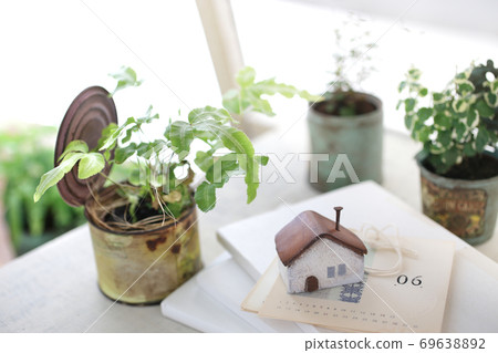 DIY木架子和室內綠色的圖像照片 DIY木架子和室內綠色的圖像照片 69638892