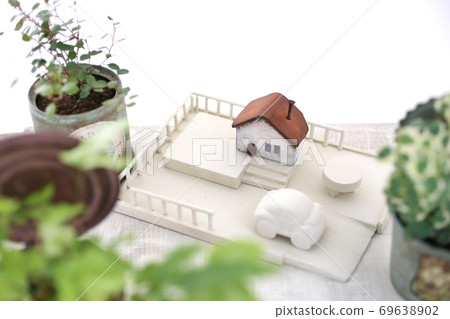DIY wooden shelves and indoor green image photo 69638902