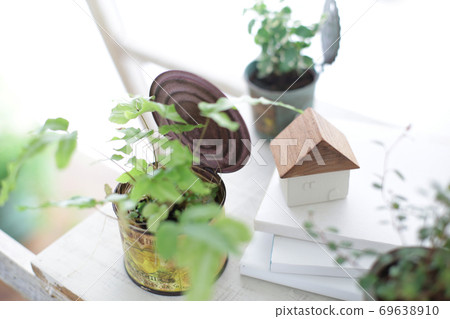 DIY wooden shelves and indoor green image photo DIY wooden shelves and indoor green image photo 69638910