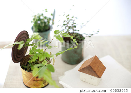 DIY wooden shelves and indoor green image photo 69638925