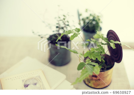 DIY wooden shelves and indoor green image photo 69638927
