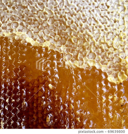 Drop of bee honey drip from hexagonal honeycombs filled with golden nectar. Drop of bee honey drip from hexagonal honeycombs filled with golden nectar. 69639800