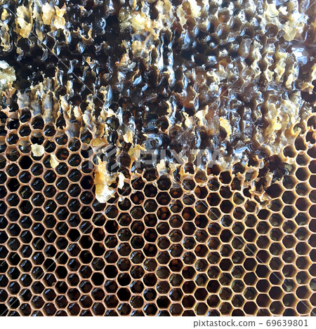 Drop of bee honey drip from hexagonal honeycombs filled with golden nectar. Drop of bee honey drip from hexagonal honeycombs filled with golden nectar. 69639801