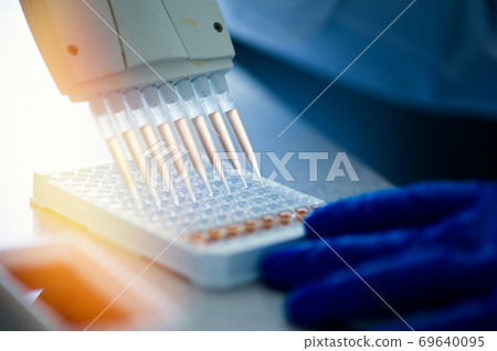 Variable volume multichannel pipette. Medical worker, scientist, laboratory assistant works in the laboratory 69640095