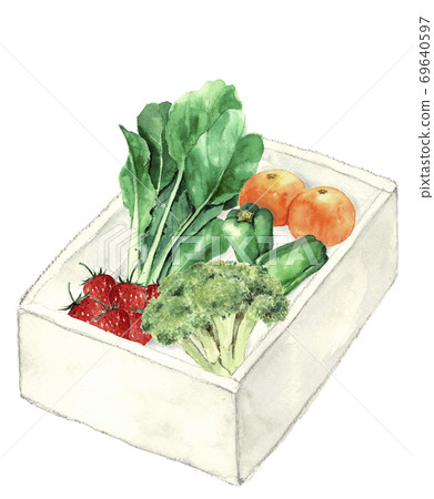 Vegetables and fruits set in a box Komatsuna Broccoli Peppers Mandarin Strawberries White background [Watercolor illustration] 69640597