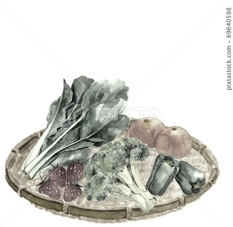 Vegetables and fruits set in colander Komatsuna Broccoli Peppers Mandarin Strawberries Monotone [Ink painting style] 69640598