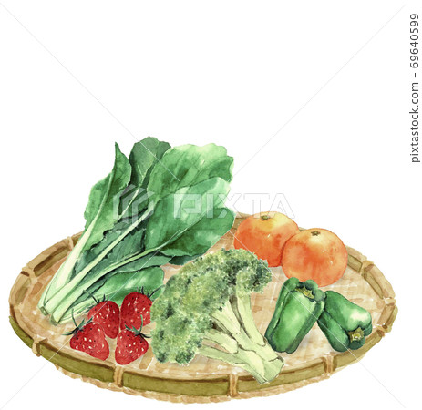 Vegetables and fruits set in colander Komatsuna Broccoli Peppers Mandarin Strawberries White background [Watercolor] 69640599