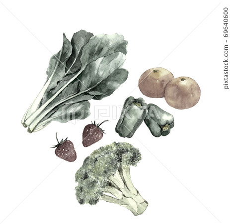 Vegetables Fruit set Komatsuna Broccoli Peppers Mandarin Strawberries Monotone [Ink painting style illustration] 69640600