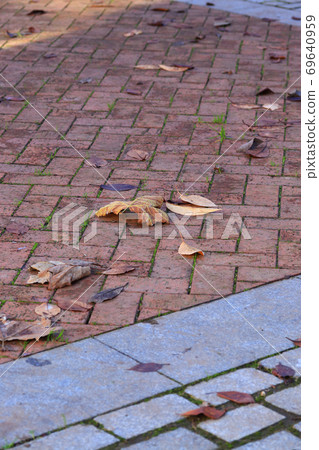 Autumn leaves on the walkway, green grass peeps between the stones Autumn leaves on the walkway, green grass peeps between the stones 69640959