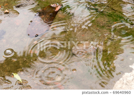 Rain drops in the water surface. Rain fall on the ground in rains season. Raindrops rippling in a puddle with bright sky reflection on it. Abstract Nature Background. 69640960