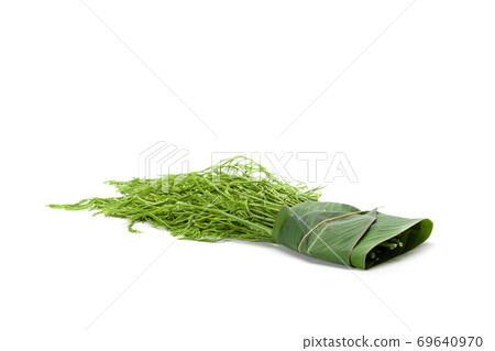 climbing wattle or Cha-om isolated 69640970