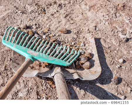 Loading heap of horse dung on the aluminum shovel Loading heap of horse dung on the aluminum shovel 69641155