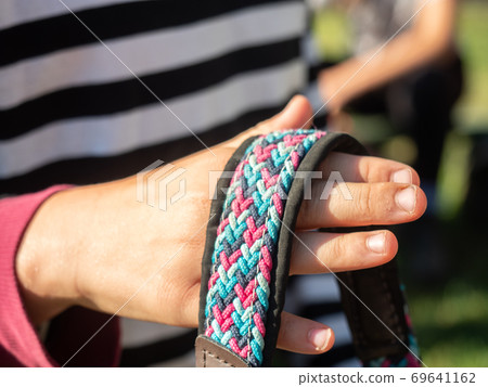 Hands hold strip of horse bridle, part of classic halte Hands hold strip of horse bridle, part of classic halte 69641162