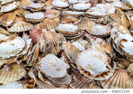 Dieppe city from Normandy, France and scallop specialities 69641595