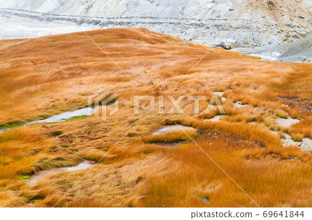 Autumn leaves of the trekking course in Tateyama Murodo 69641844
