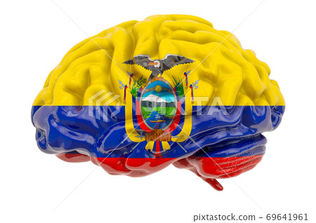 Human brain with Ecuadorian flag. Scientific research and education in Ecuador concept, 3D rendering Human brain with Ecuadorian flag. Scientific research and education in Ecuador concept, 3D rendering 69641961