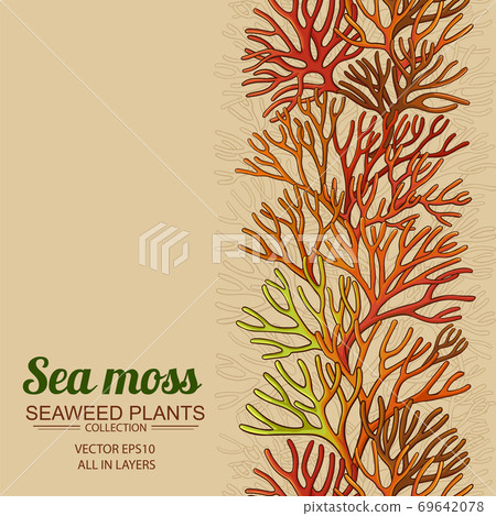 sea moss horizontal pattern 69642078